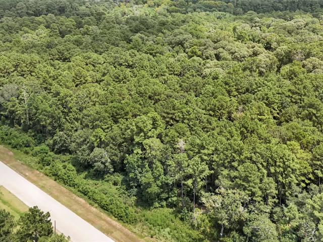 Land for sale in Walker, Texas