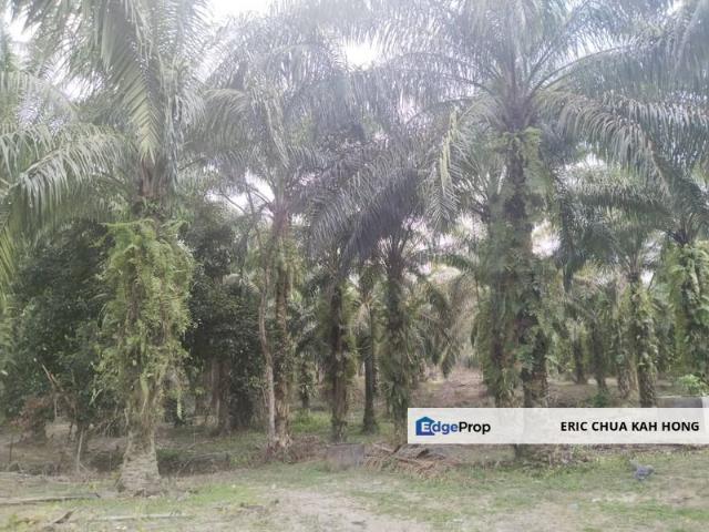 Shop for sale in Perak, Gopeng