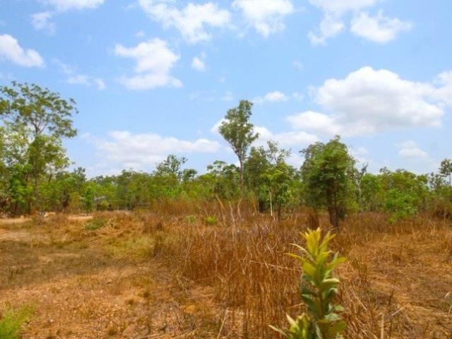 Land for sale in Blackmore, Litchfield Municipality