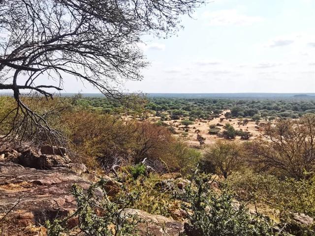 Property for sale in Limpopo