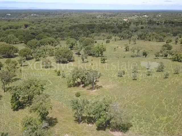 Terreno venda em Pinheiro da Chave, Grândola