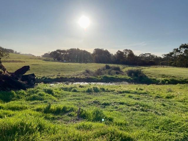 Land for sale in Ruffy, Victoria