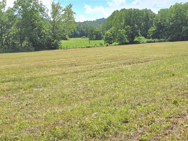 Land for sale in Stockport, Ohio