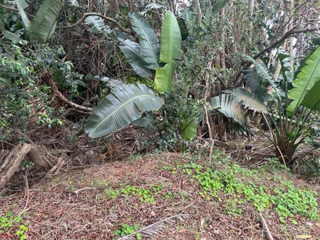 Property for sale in Ugu District Municipality, Kwazulu-natal