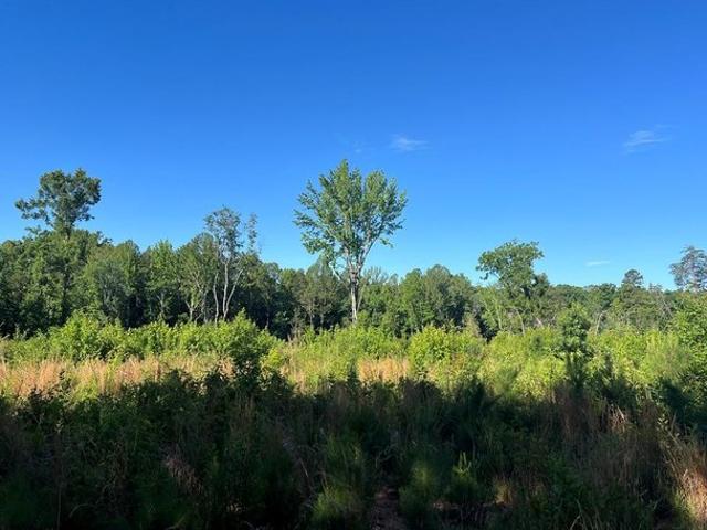 Land for sale in Virginia
