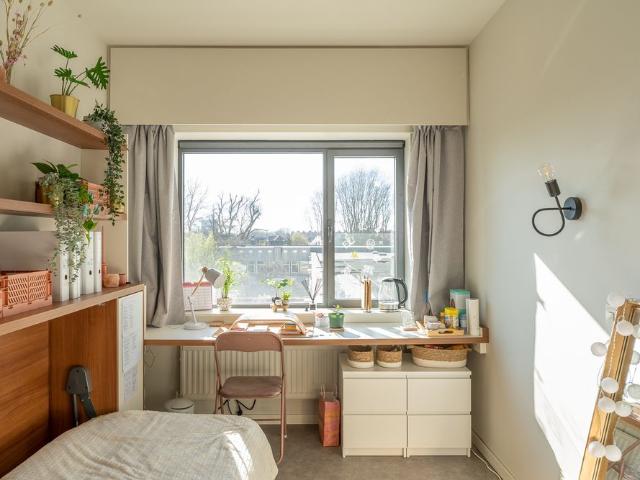 Kot location à Sint-Jacobs, Gent