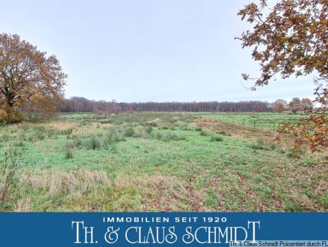 Landwirtschaft kaufen in Ovelgönne, Niedersachsen
