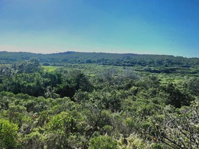 Property for sale in Cape St Francis, Eastern Cape