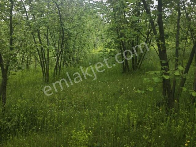 Karapürçek, Sakarya içerisinde satılık Villa