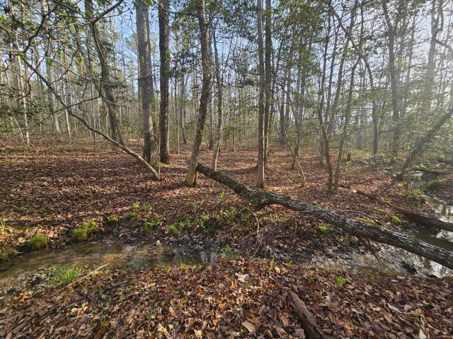 Land for sale in Tennessee
