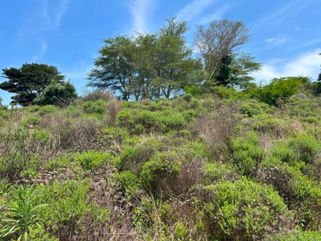 Property for sale in Mtunzini, Kwazulu-natal