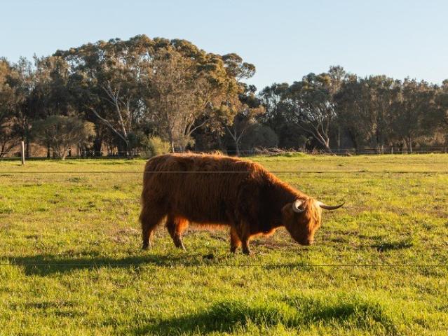 House for sale in Mardella, Western Australia
