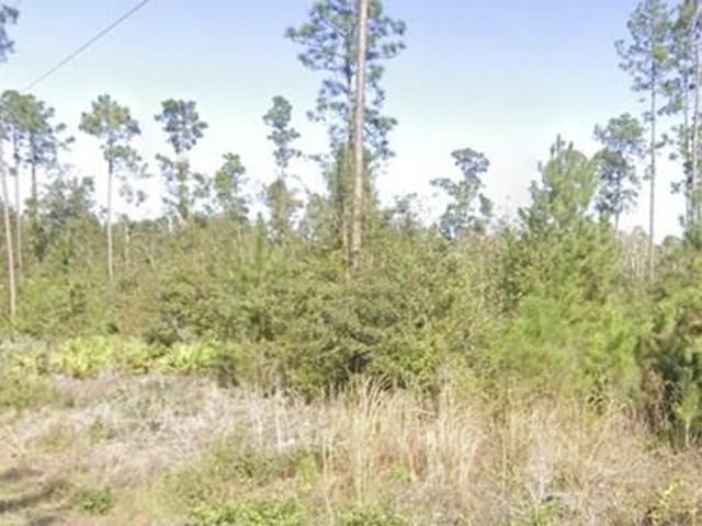 Property for sale in Ludowici, Georgia
