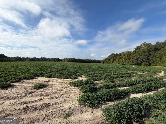 Land for sale in Rochelle, Wilcox County