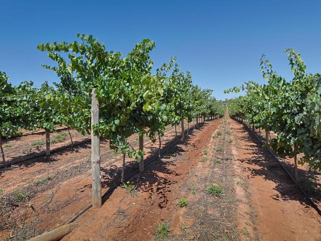 Cottage for sale in Red Cliffs, Victoria