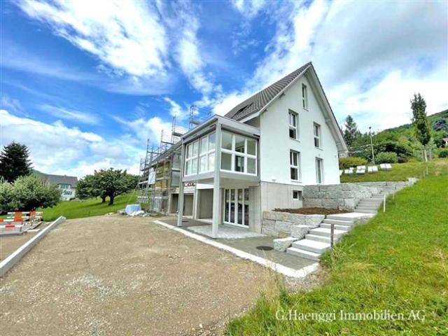 Einfamilienhaus kaufen in Läufelfingen, Basel-Landschaft
