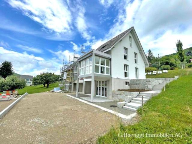 Einfamilienhaus kaufen in Läufelfingen, Basel-Landschaft