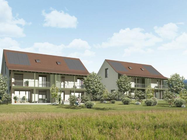 Immobilie kaufen in Wagenhausen, Thurgau