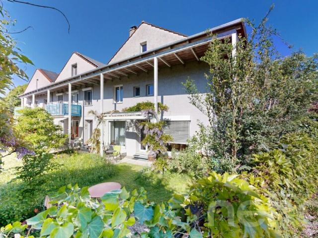 Reihenfamilienhaus kaufen in Rüfenach, Aargau