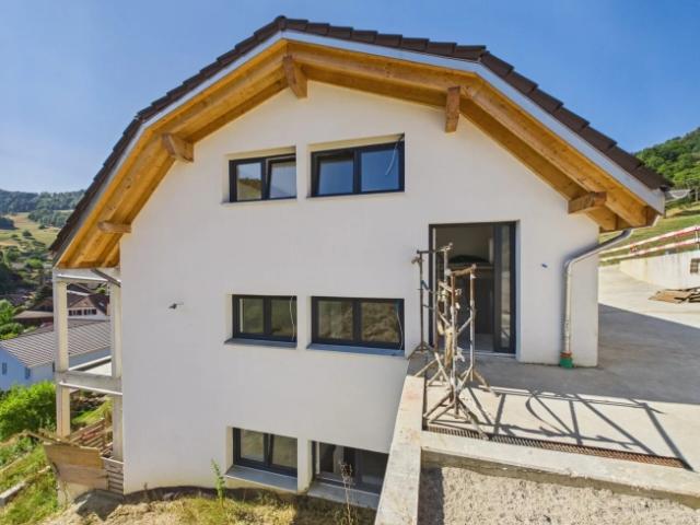 Einfamilienhaus kaufen in Bärschwil, Amtei Dorneck-Thierstein