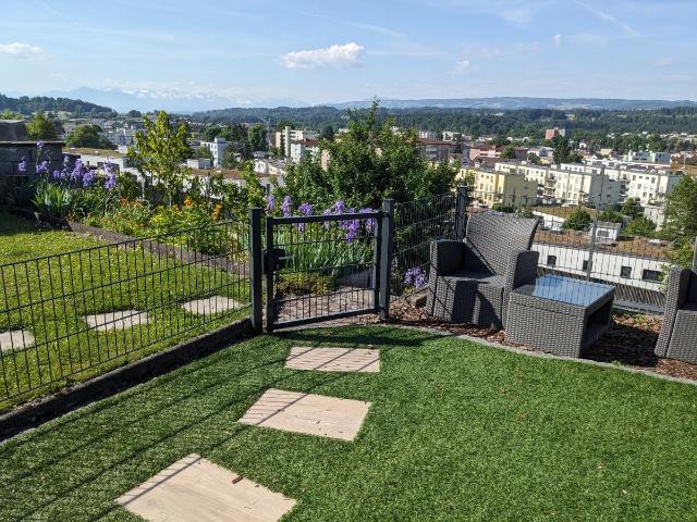 Reihenfamilienhaus mieten in Zufikon, Aargau