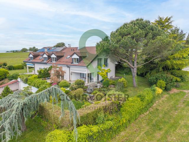 Haus kaufen in Morges, Waadt