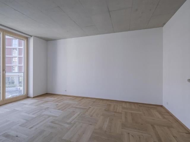 Apartment mieten in Madretsch, Biel/Bienne