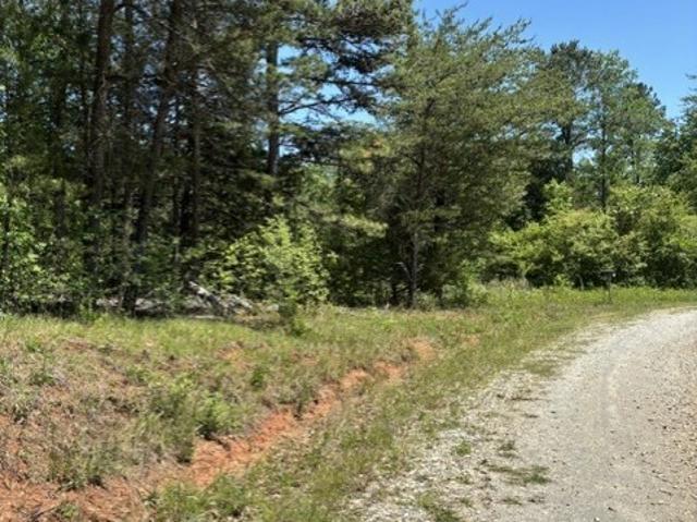Land for sale in Toccoa, Georgia