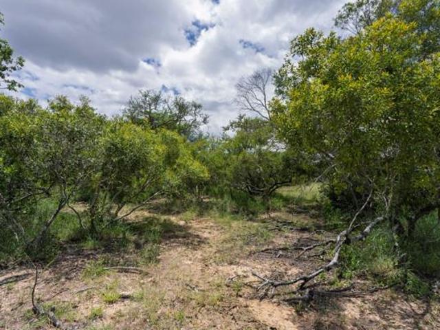 Property for sale in Mopani, Limpopo