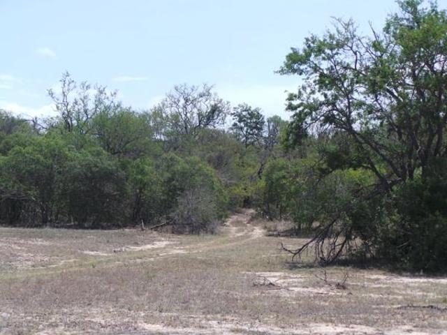 Property for sale in Mopani, Limpopo