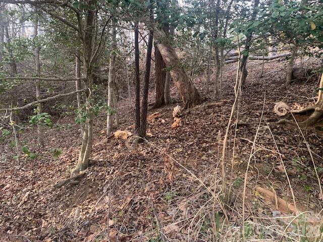 Land for sale in Saluda, North Carolina