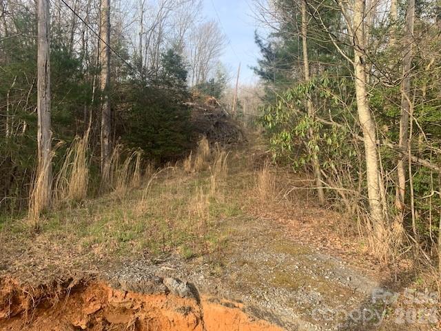 Land for sale in Saluda, North Carolina