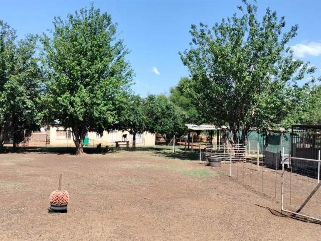 Farm for sale in Koppies, Free State