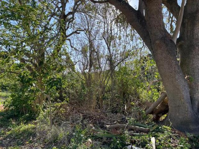 Property for sale in Bushmans River Mouth, Eastern Cape