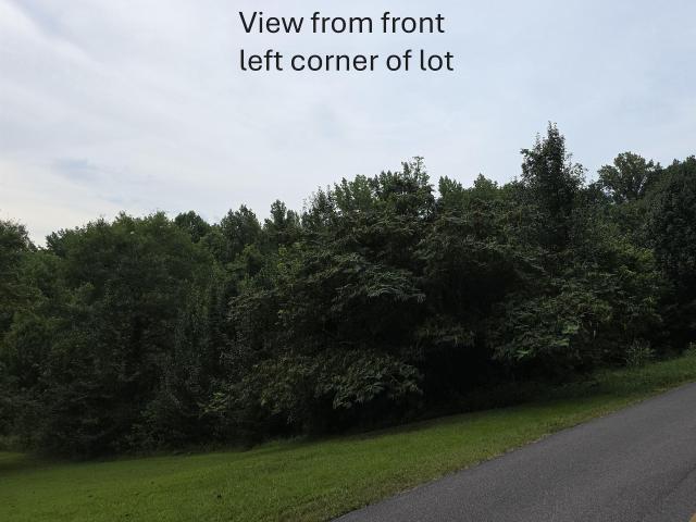Land for sale in Somerville, Alabama