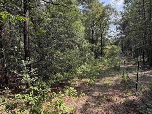 Land for sale in Brewton, Escambia County
