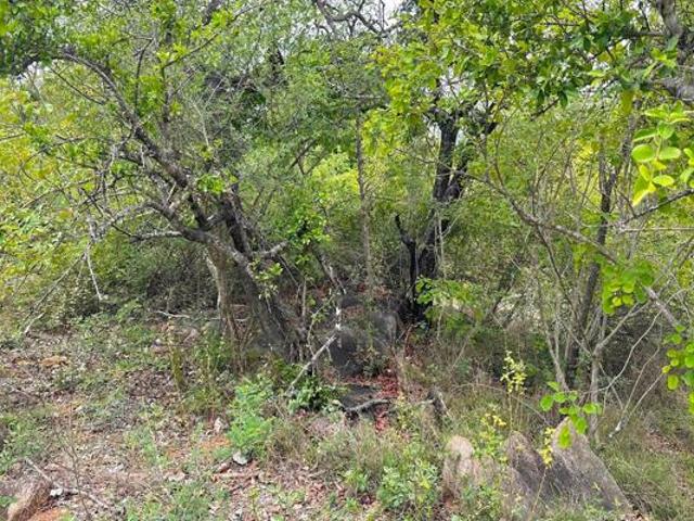 Property for sale in Ehlanzeni, Mpumalanga