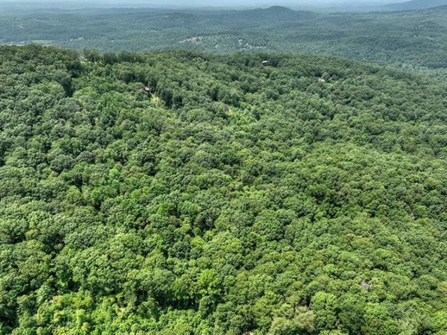 Land for sale in Georgia