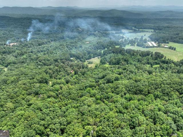 Land for sale in Georgia