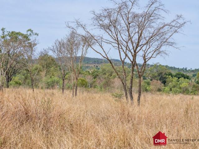 Land for sale in Gayndah, Queensland