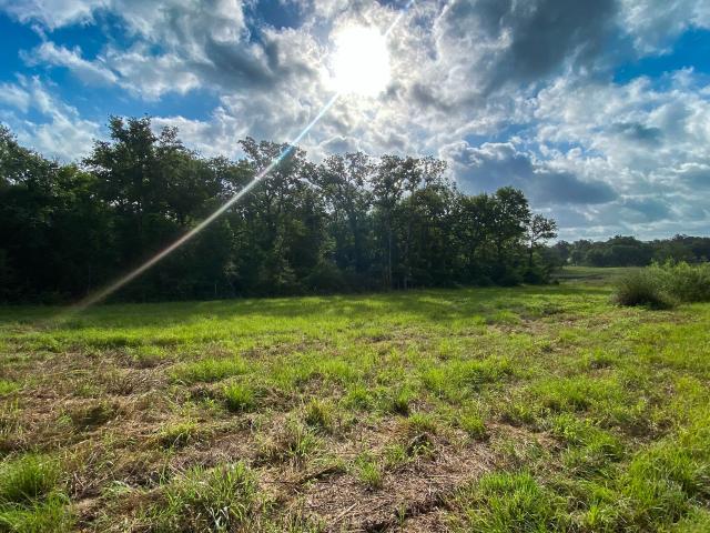 Land for sale in Leon, Texas