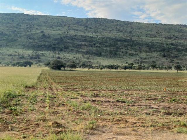Farm for sale in Westonaria, Gauteng