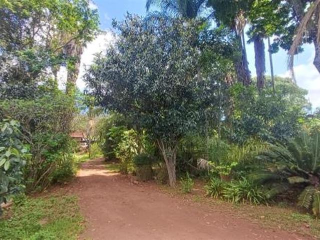 Farm for sale in Louis Trichardt, Limpopo