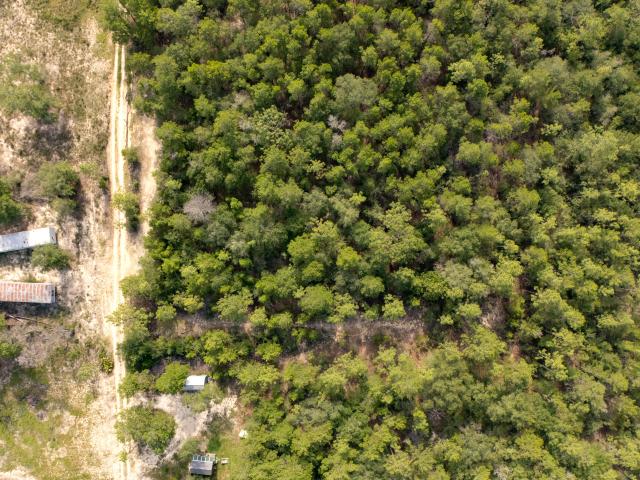 Land for sale in Walton, Florida