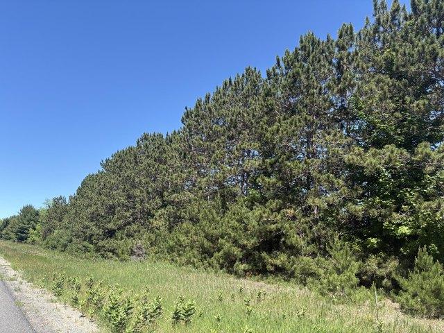 Land for sale in Bear Lake, Michigan