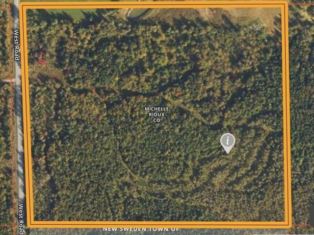 Land for sale in New Sweden, Maine