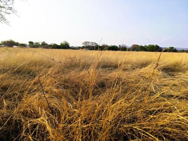 Property for sale in Limpopo