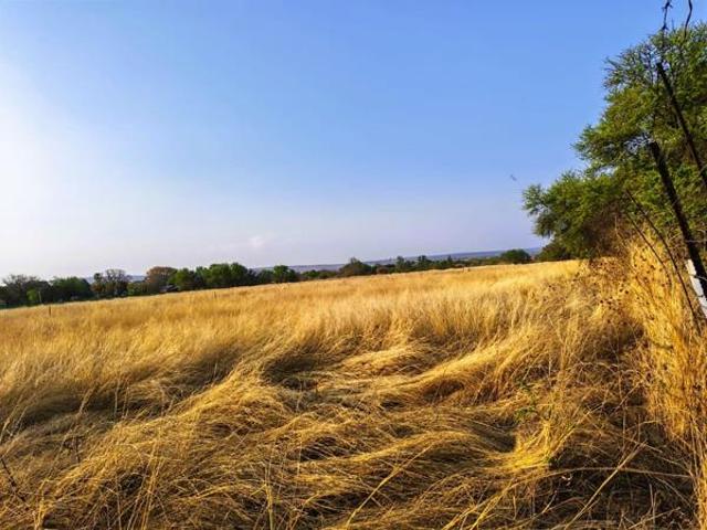 Property for sale in Limpopo