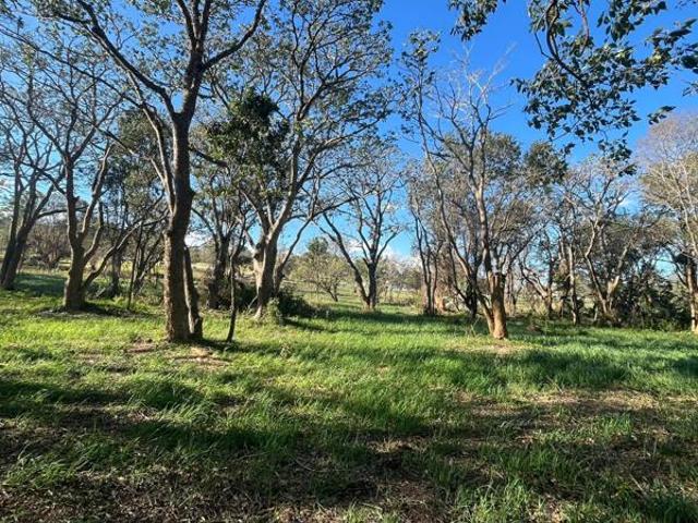 Property for sale in Bushmans River Mouth, Eastern Cape