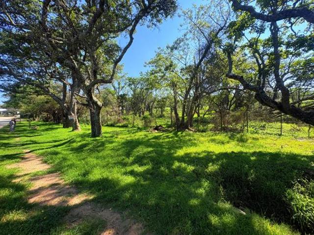 Property for sale in Bathurst, Ndlambe Local Municipality